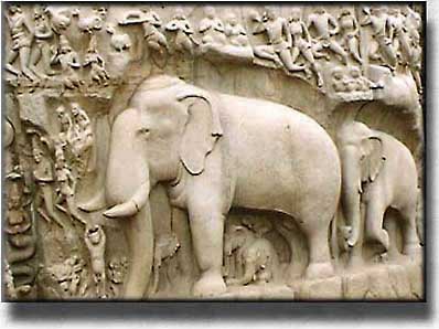 Mamallapuram, elefant-relief